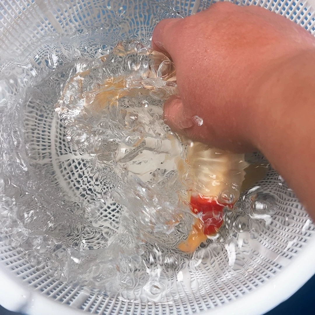 锦鲤鑫泓锦鲤养殖基地