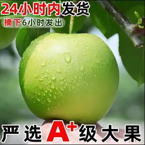 云南西双版纳苹果枣纯甜孕妇当季新鲜水果5斤非牛奶枣脆甜可口
