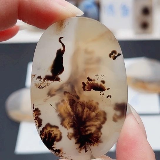 玛瑙/玉髓珠宝奇石未镶嵌