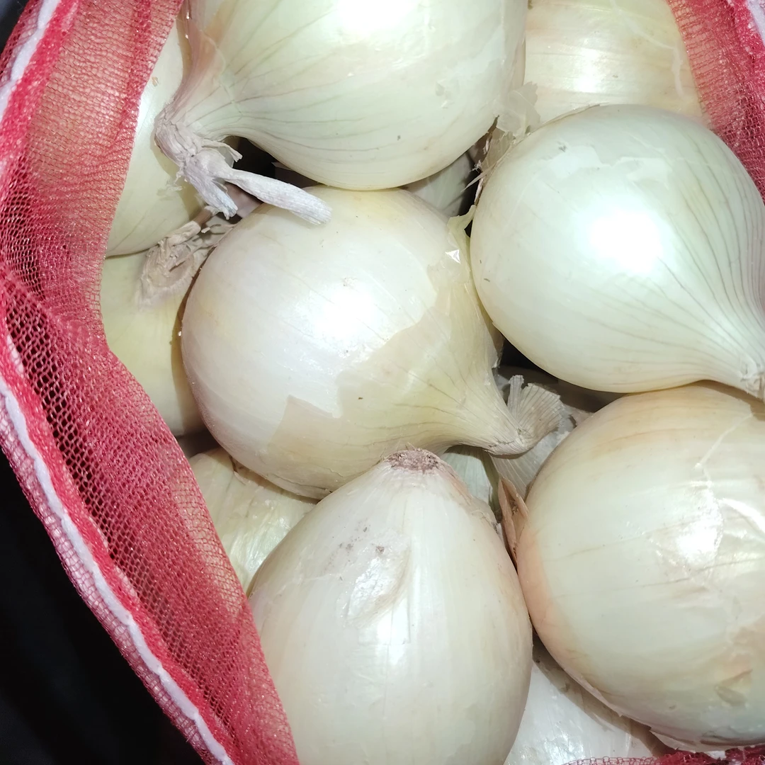 يېڭى پىياز 皮亚子（1kg)