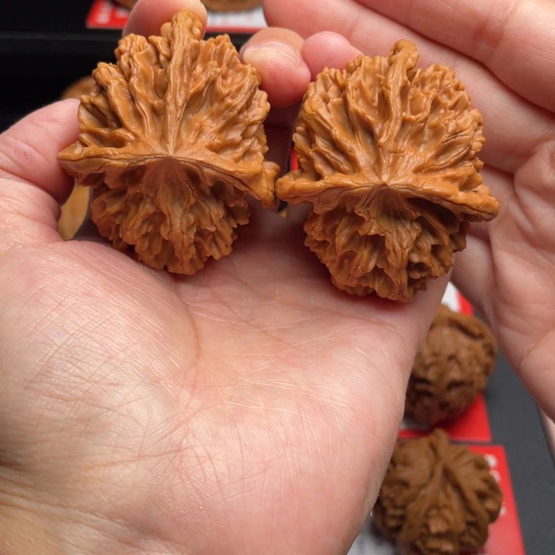 文玩核桃把件三棱45克重57