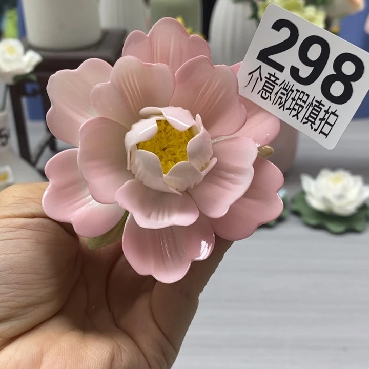 陶瓷陶瓷材料加工