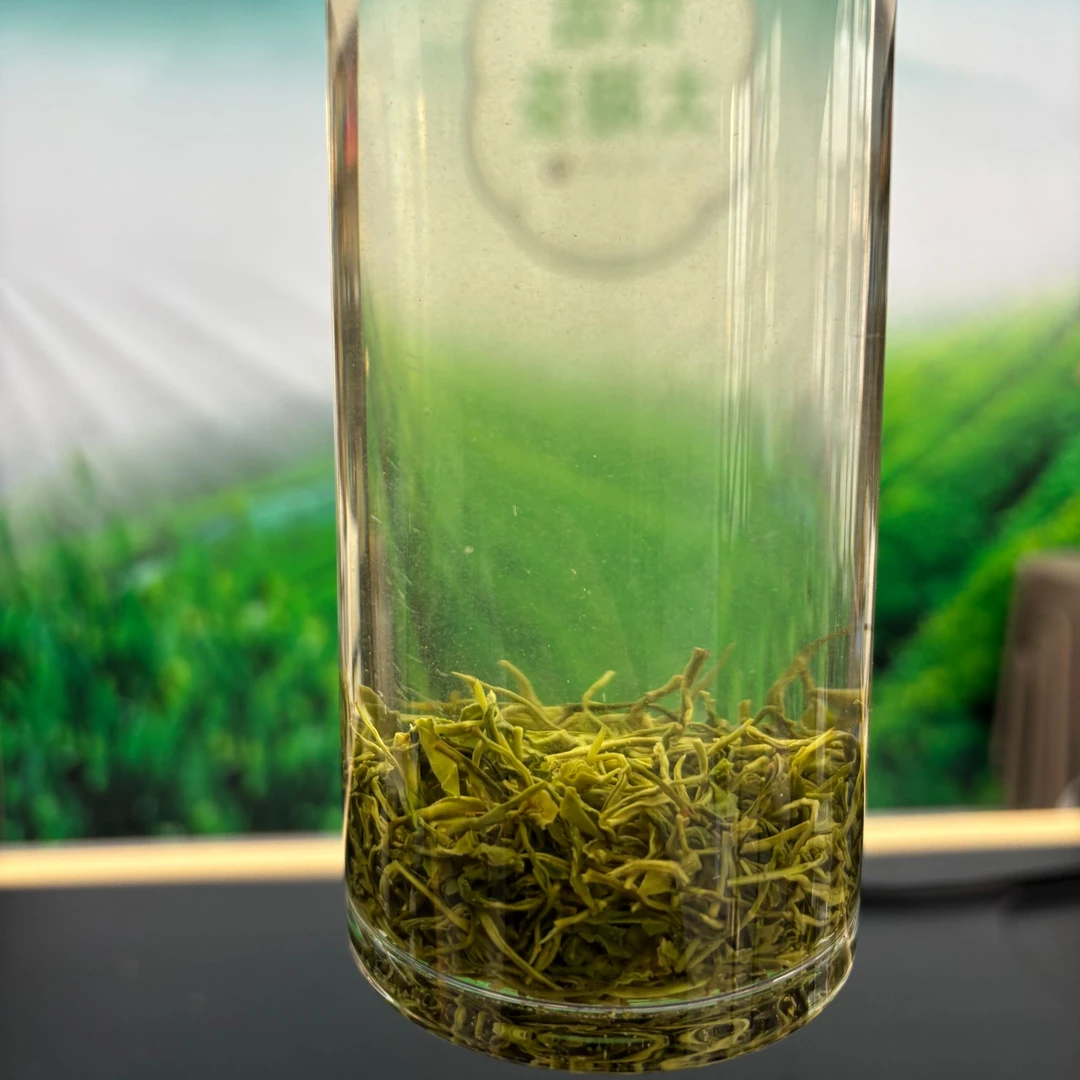 太湖禅茶天华云雾茶2025新茶板栗香雨前茶太湖高山好茶