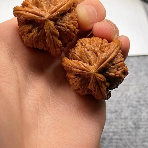 晴*白狮子1111111111111111