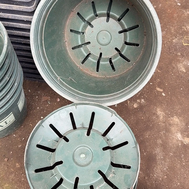 加仑盆口径20高14发5个