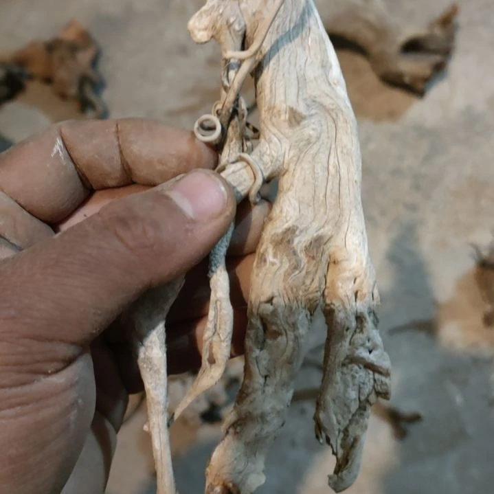 柏木（崖柏）旺**行崖柏随型