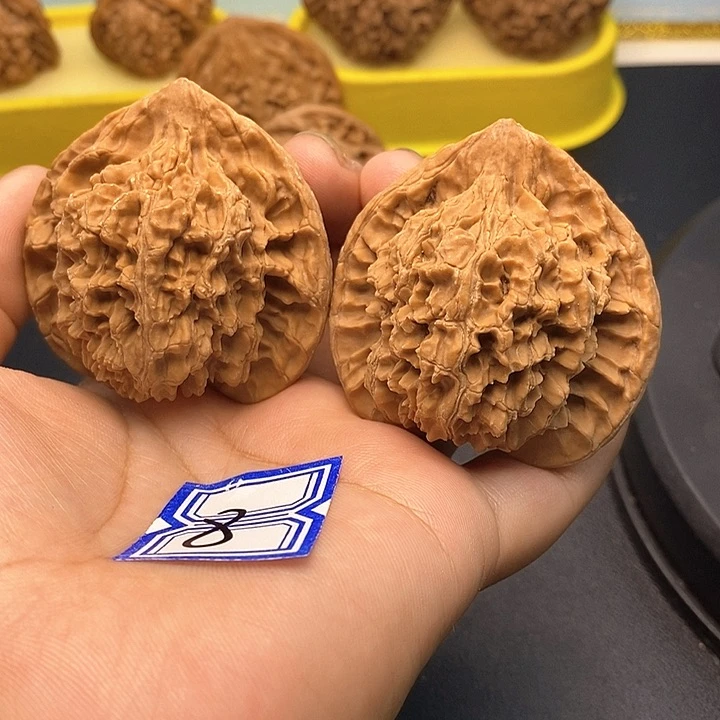 文玩核桃把件50盘龙纹