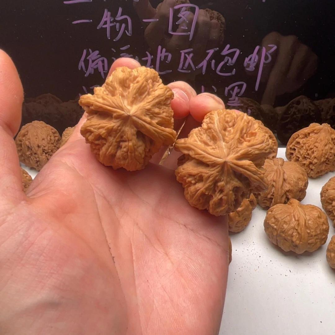 把件核桃42全品原装大粗筋