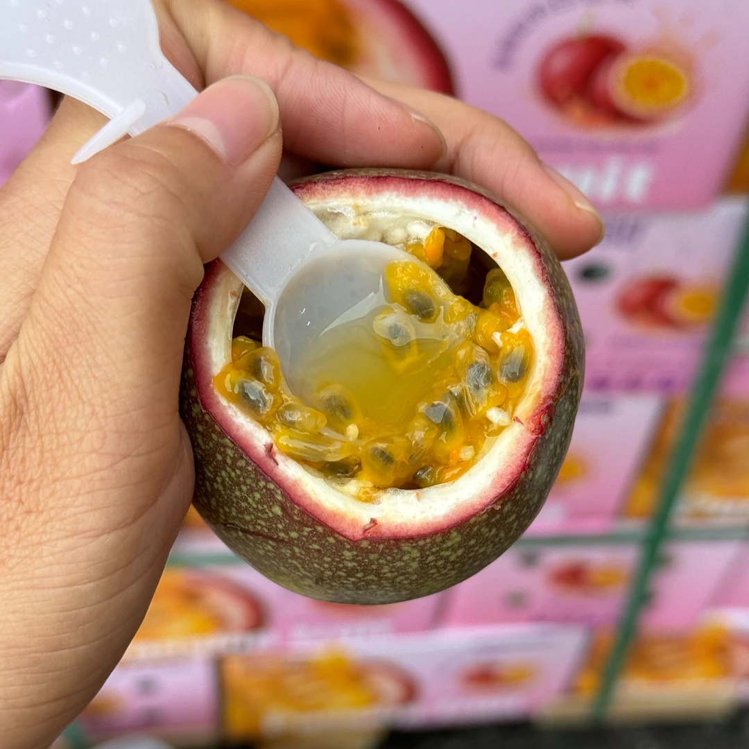 云南高山蜜桃百香果3斤礼盒装香甜紫皮百香果当季应季只发川渝