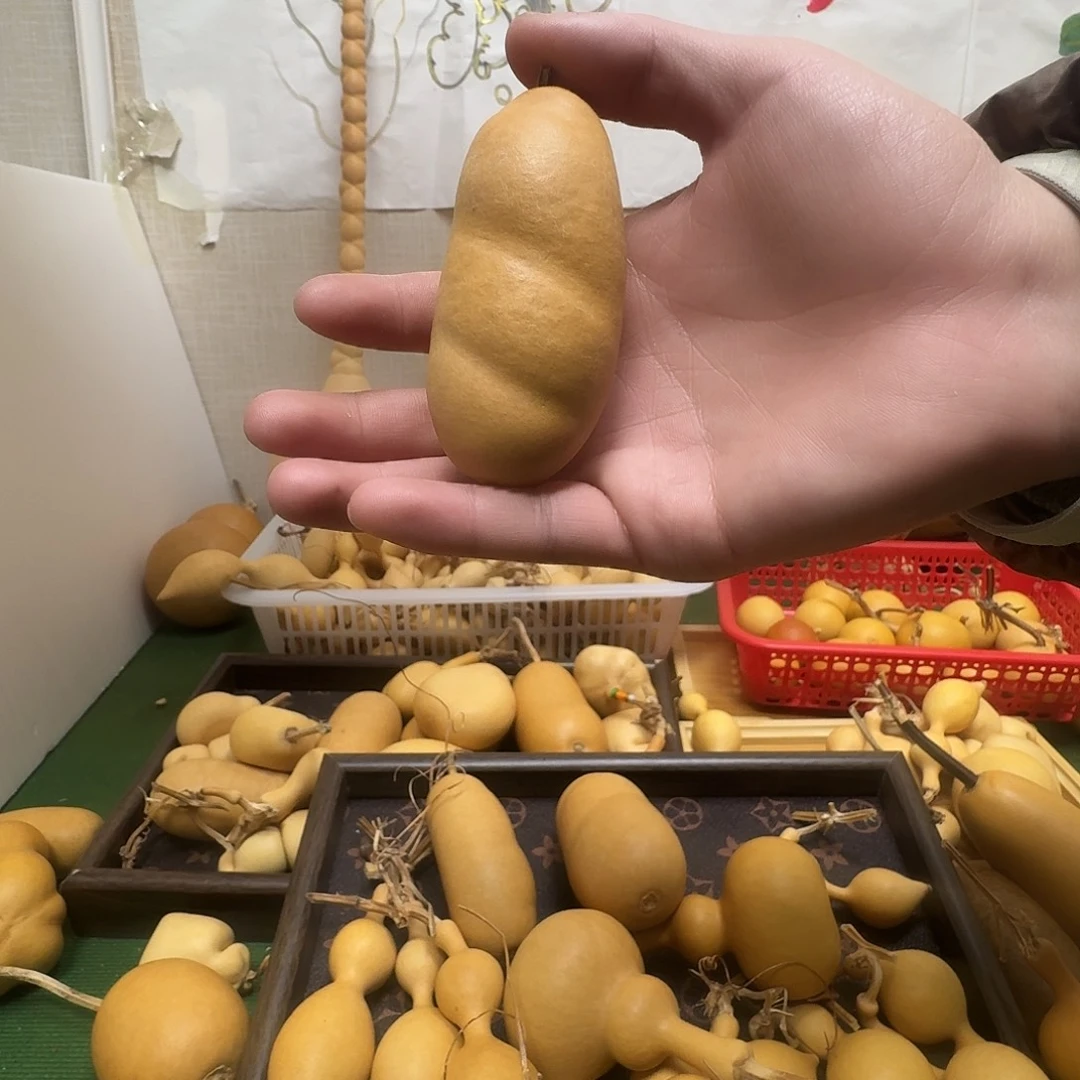 诺***吖葫芦111121111112