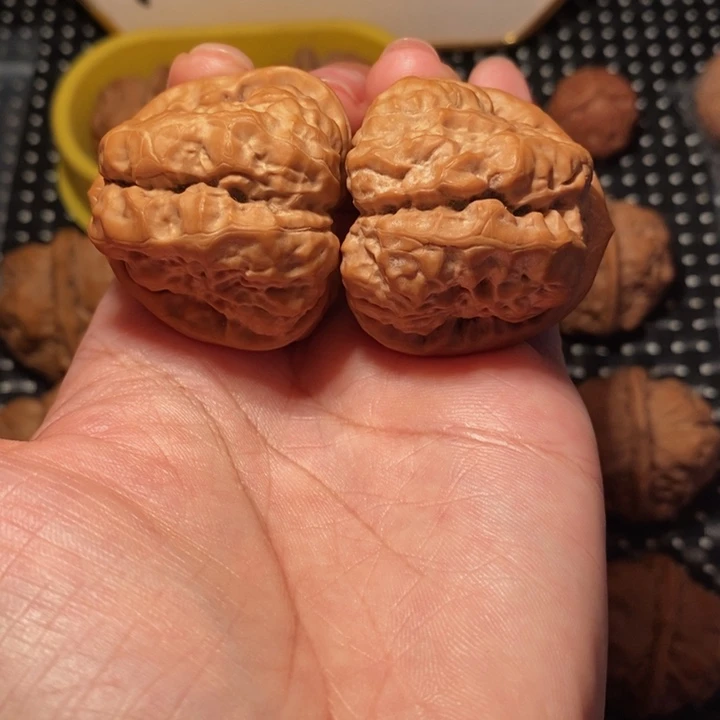 无***语文玩核桃把件蛙王