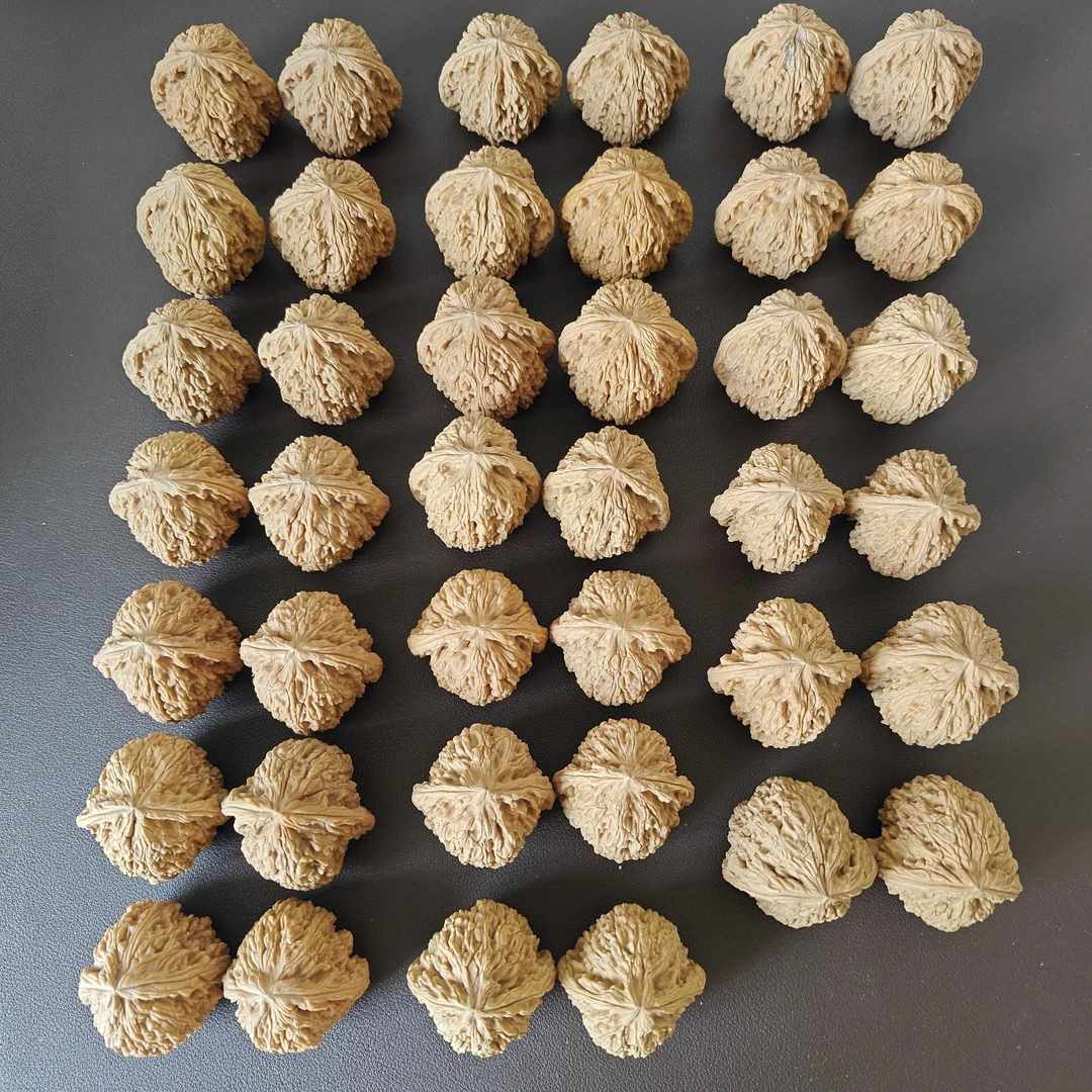 南疆石核桃20对,随机发37尺-40尺