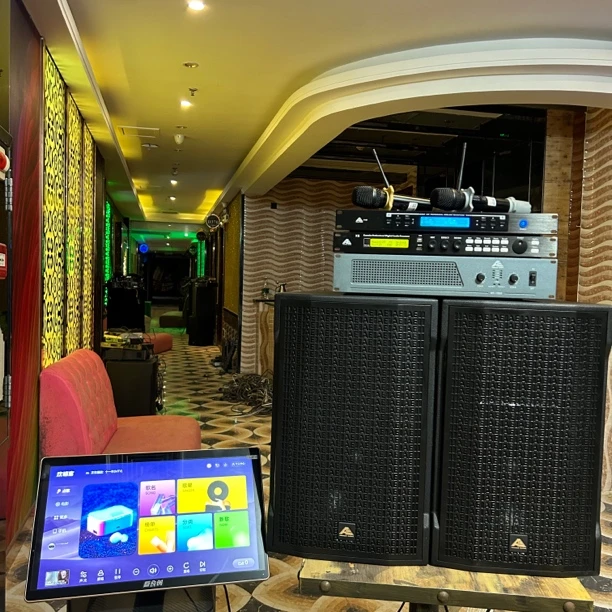 9新  （包邮）英国AE高端系列12寸音响四件套➕欢唱客音响