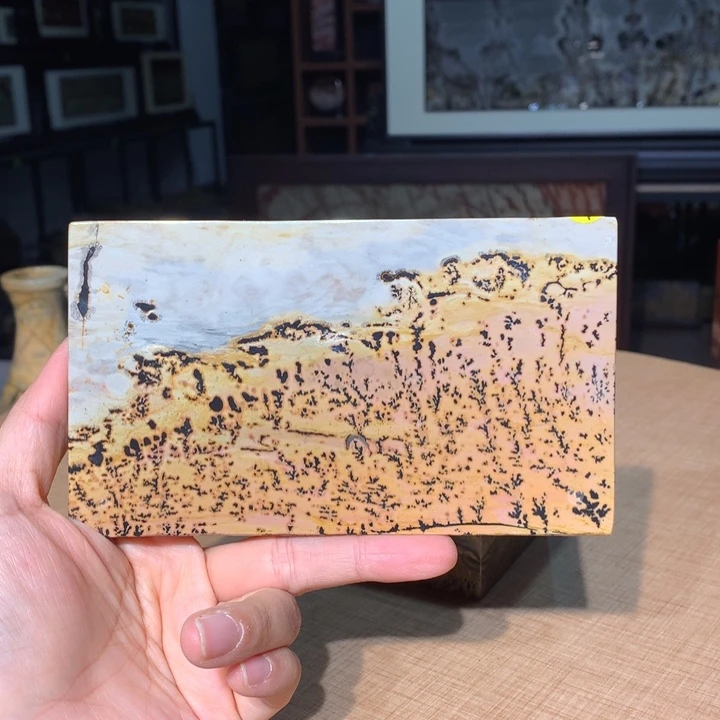 广西国画石摆件，观赏收藏