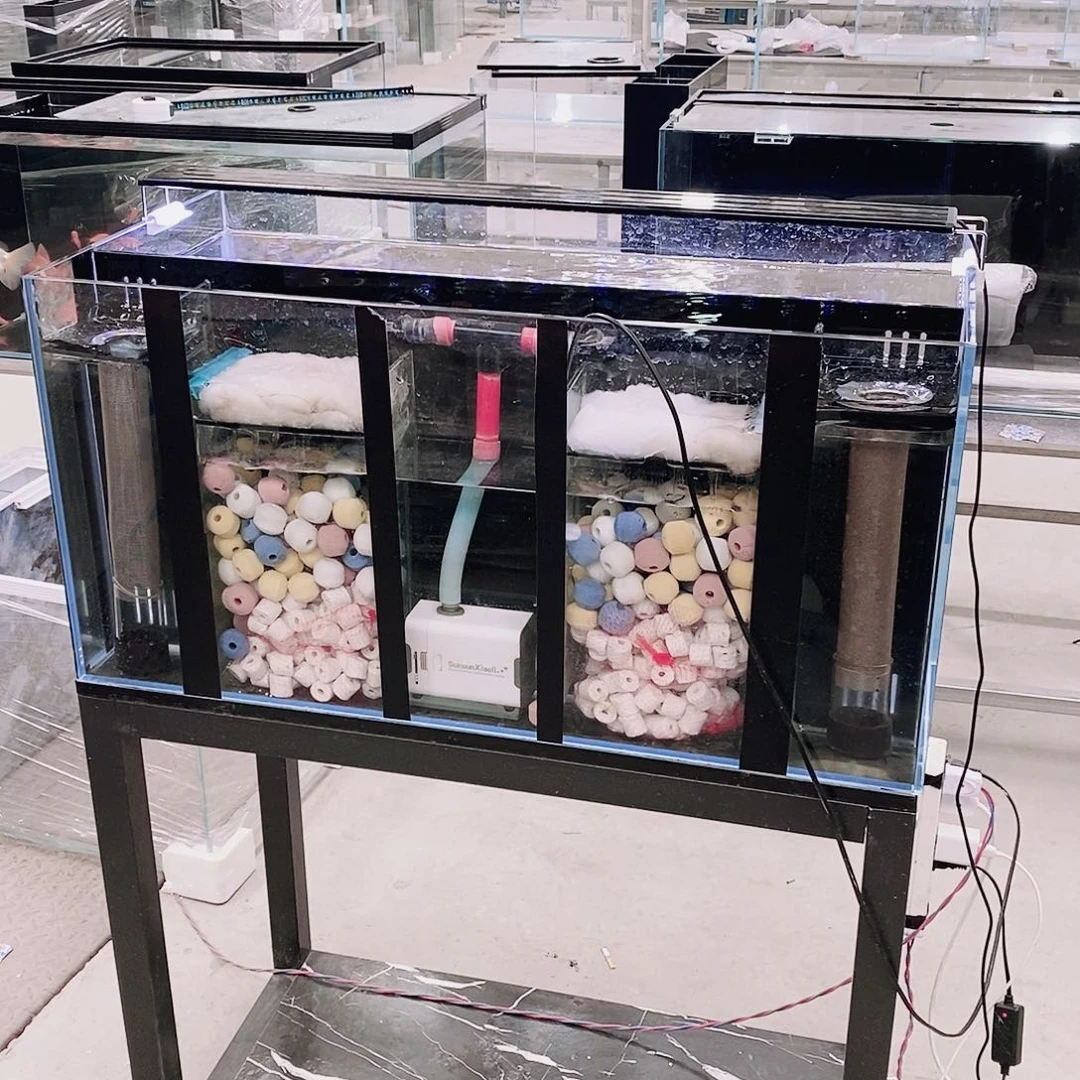 玻璃随****8804040背双全套