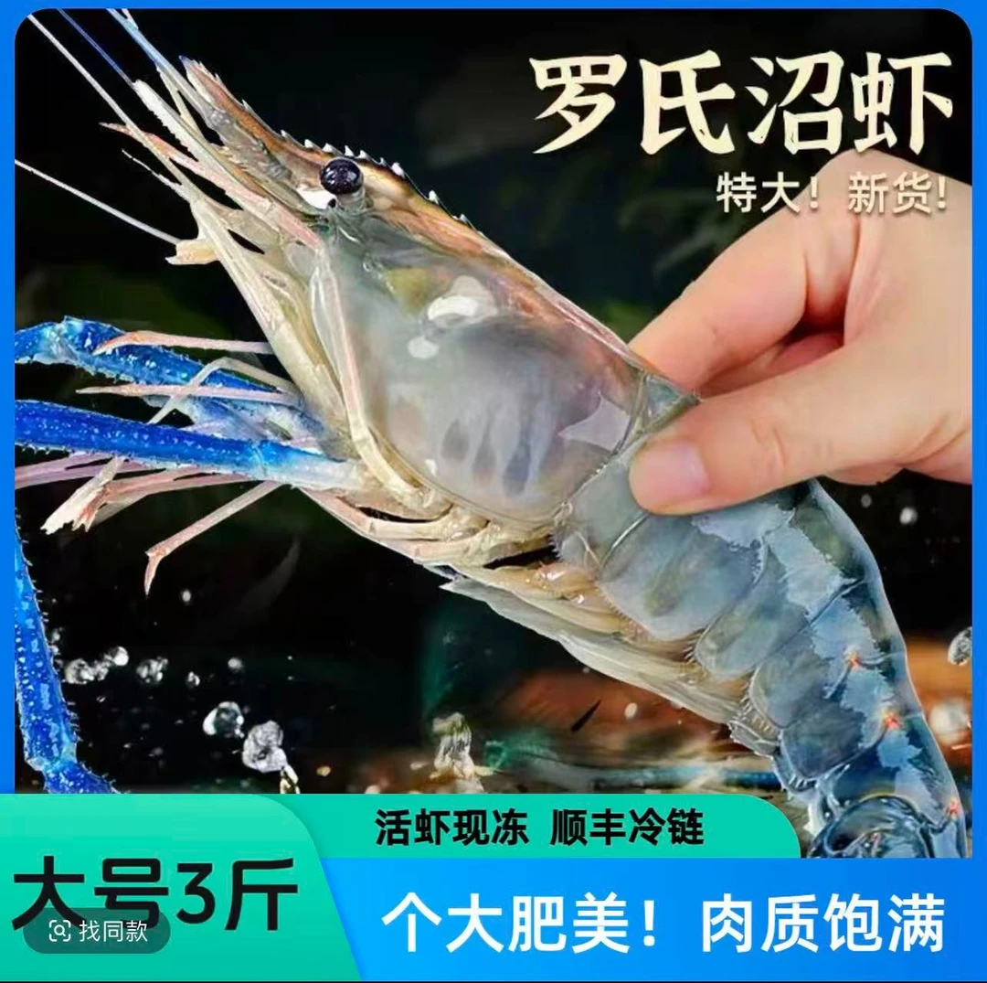 3斤鲜活速冻罗氏虾10-12只左右一斤顺丰冷链发货