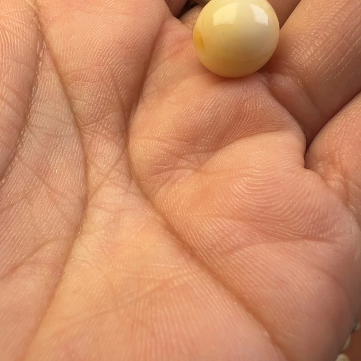 香榧木哈哈哈哈哈