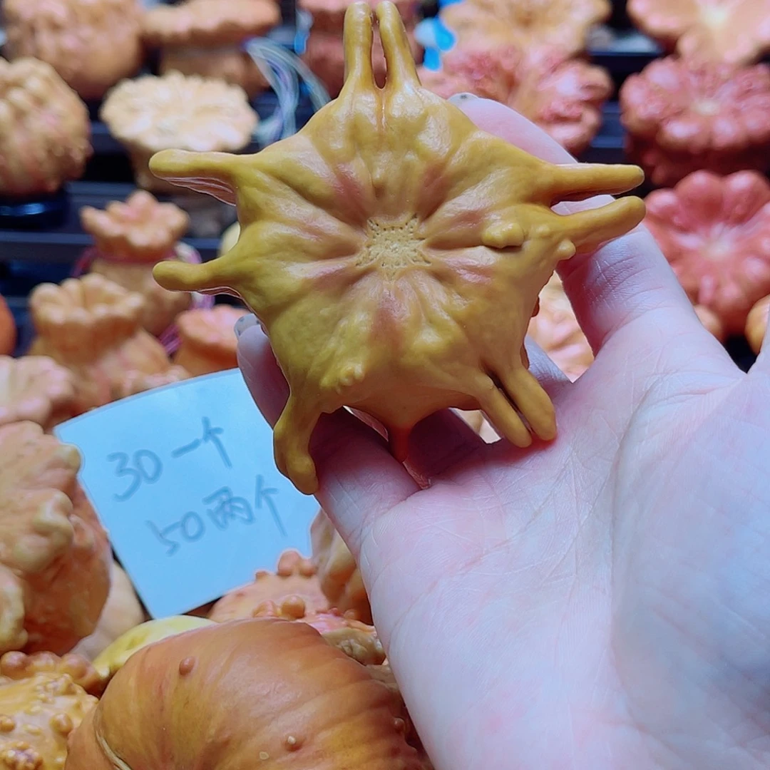 永***恒陶瓷墨西哥葫芦可盘可摆