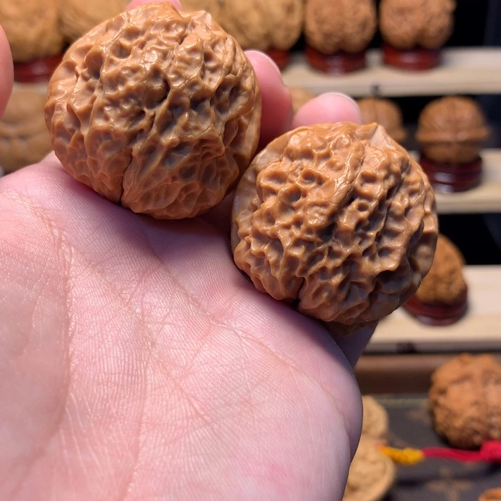 文玩核桃把件42红珊瑚