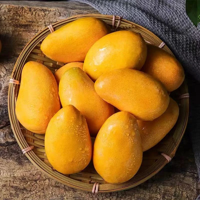 【H海南小台芒】应季时令新鲜水果精选热带特产三亚甜心小台农芒果