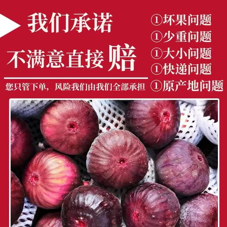[顺丰包邮]红皮波姬红无花果，树上糖包子，现摘现发，新鲜到家