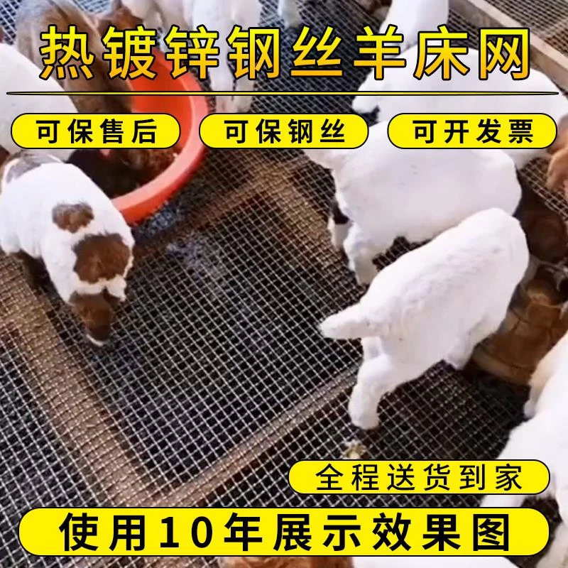 热镀锌钢丝网羊床漏粪网养殖网围栏防护网鸡鸭牛羊漏粪野猪防护网