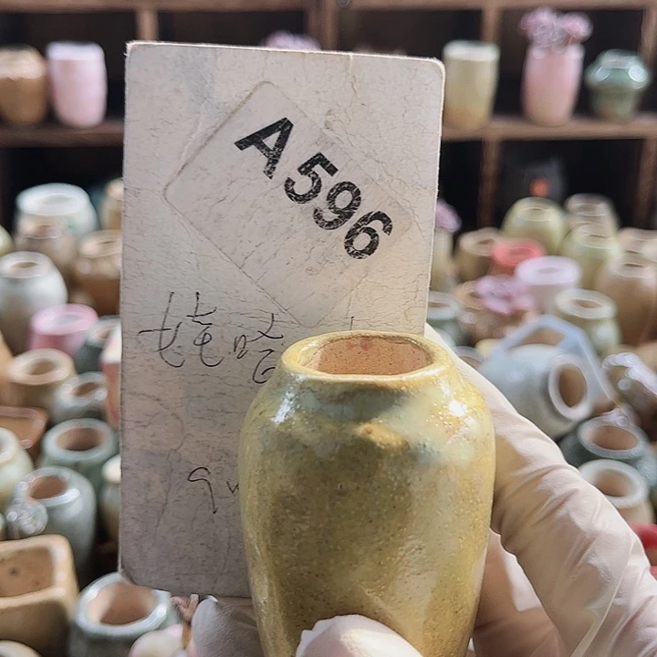 【***】596哥哥哥哥哥哥vv