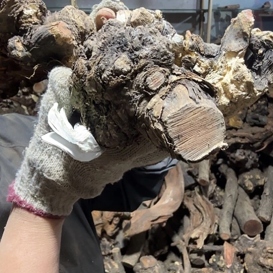 香榧木思****）火琉璃的故事是