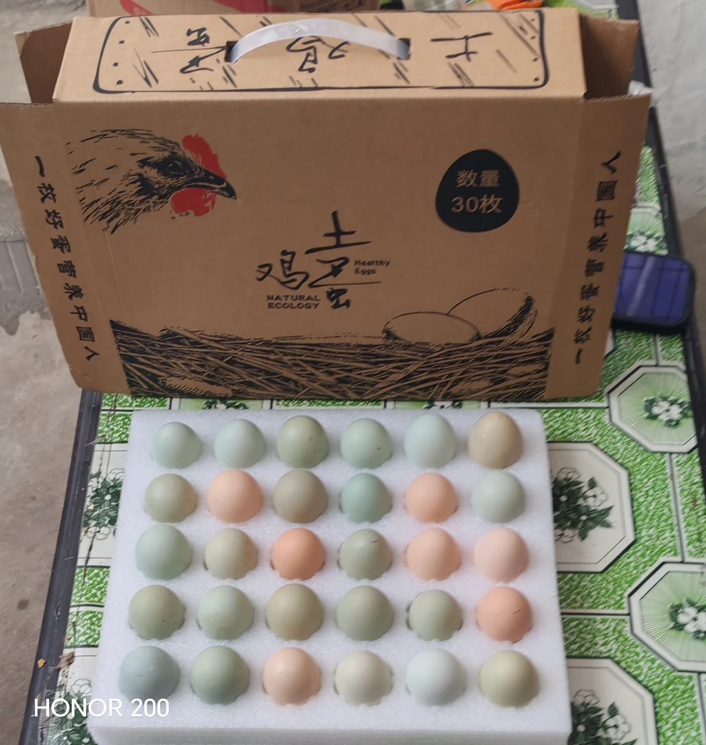 只发绿壳乌鸡蛋山林散养乌鸡蛋无抗生素五谷喂养乌鸡现捡现发
