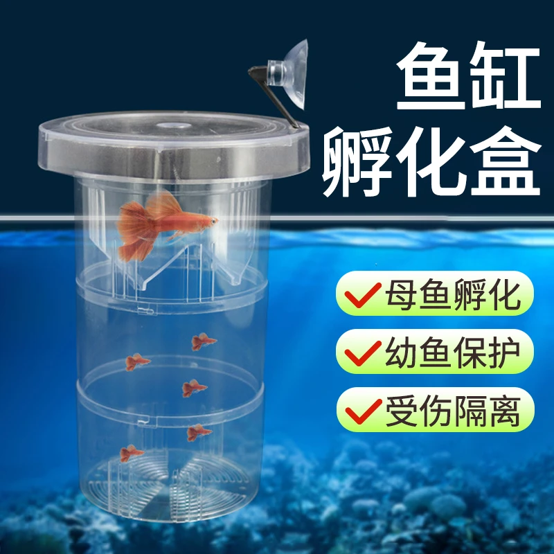 【宠大条】小型鱼孵化隔离盒可漂浮可以吸盘固定可以延长的孵化盒
