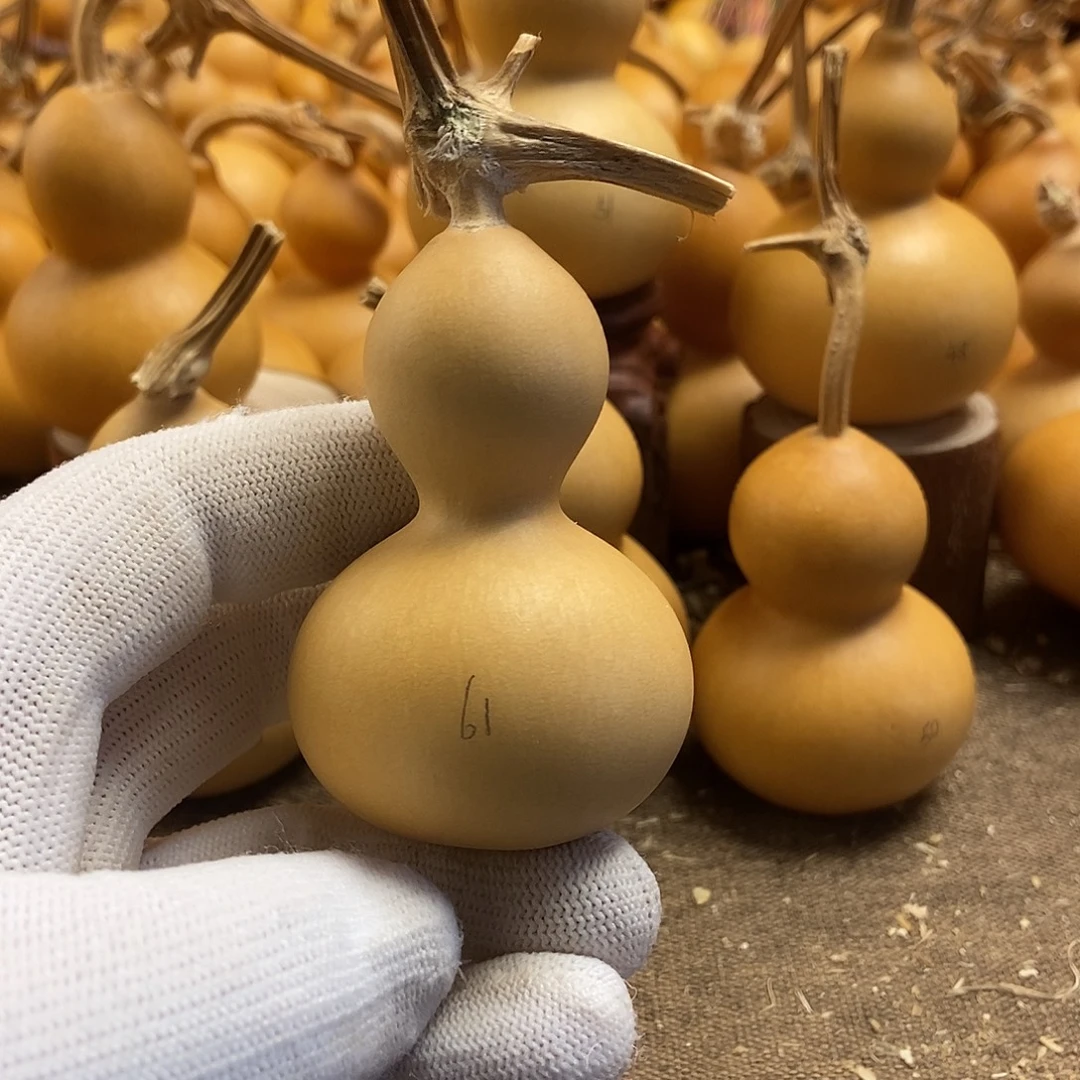 文玩葫芦 完美主义者 慎拍61