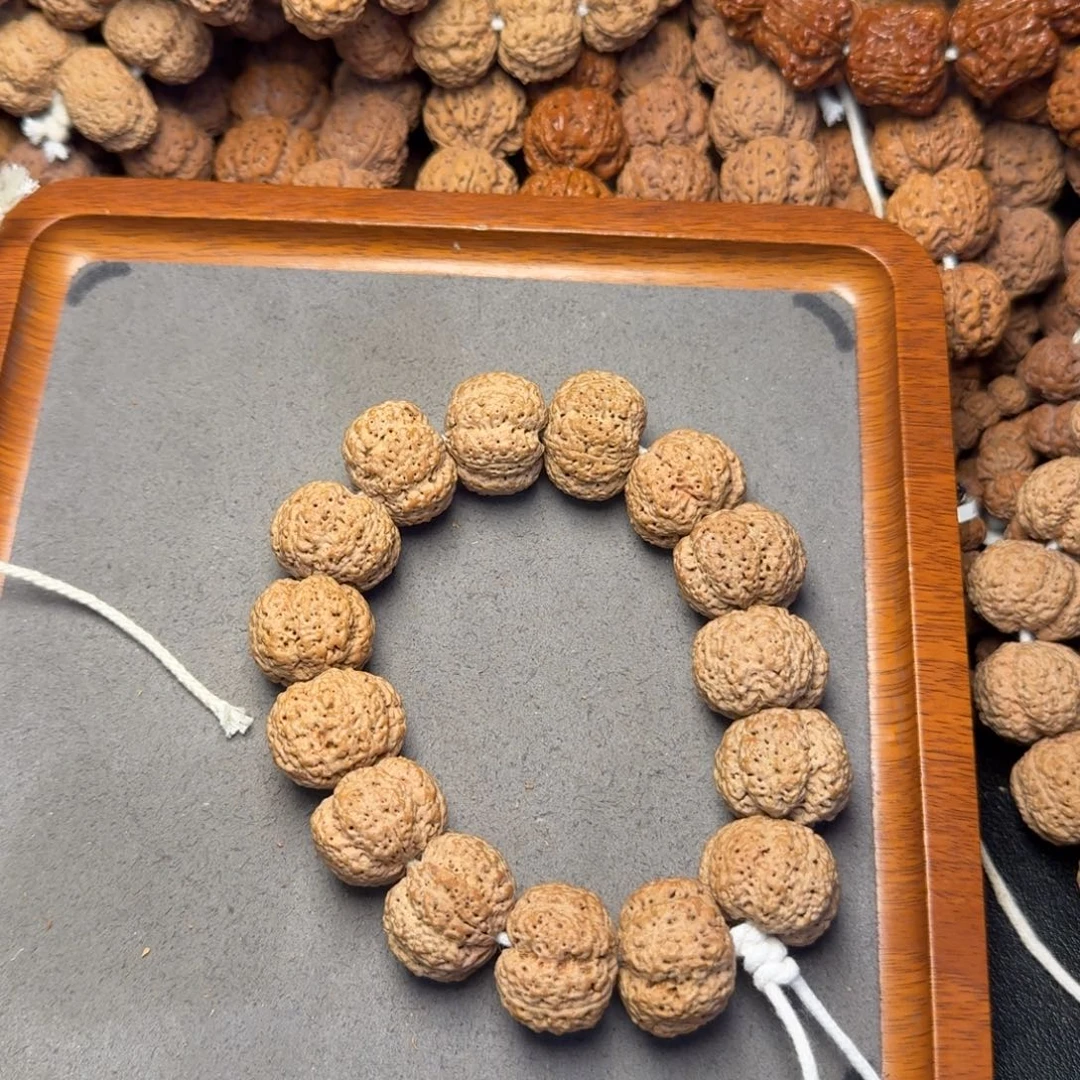 17号尼泊尔大金刚23五星熊猫菠萝蜜