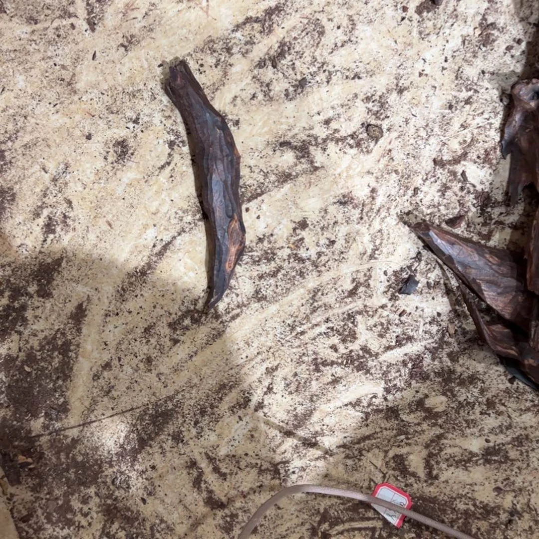 海***盗黄花梨/降香黄檀老料