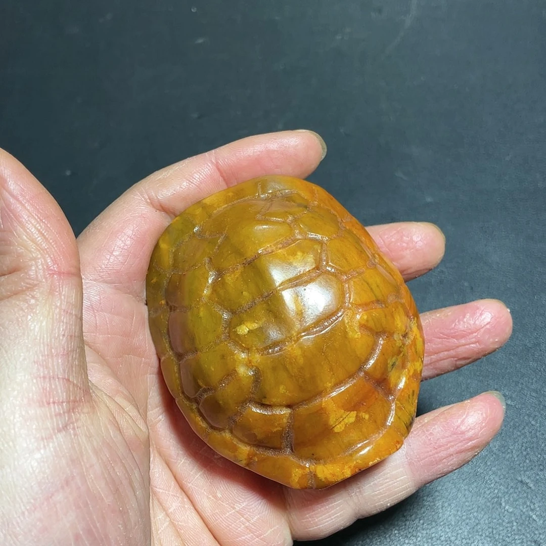 官方链接下单放心拍