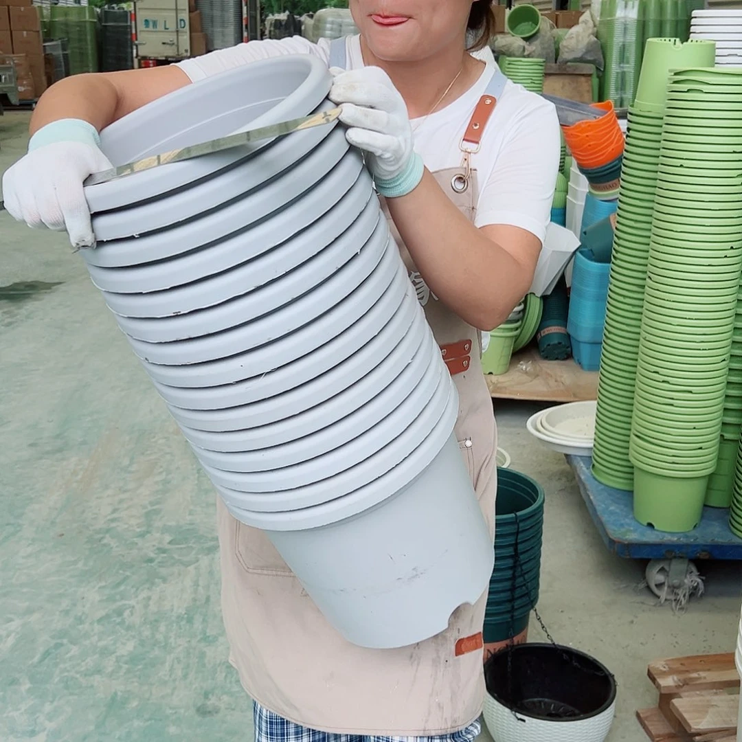 瑕疵四季盆5#灰白色6个无托