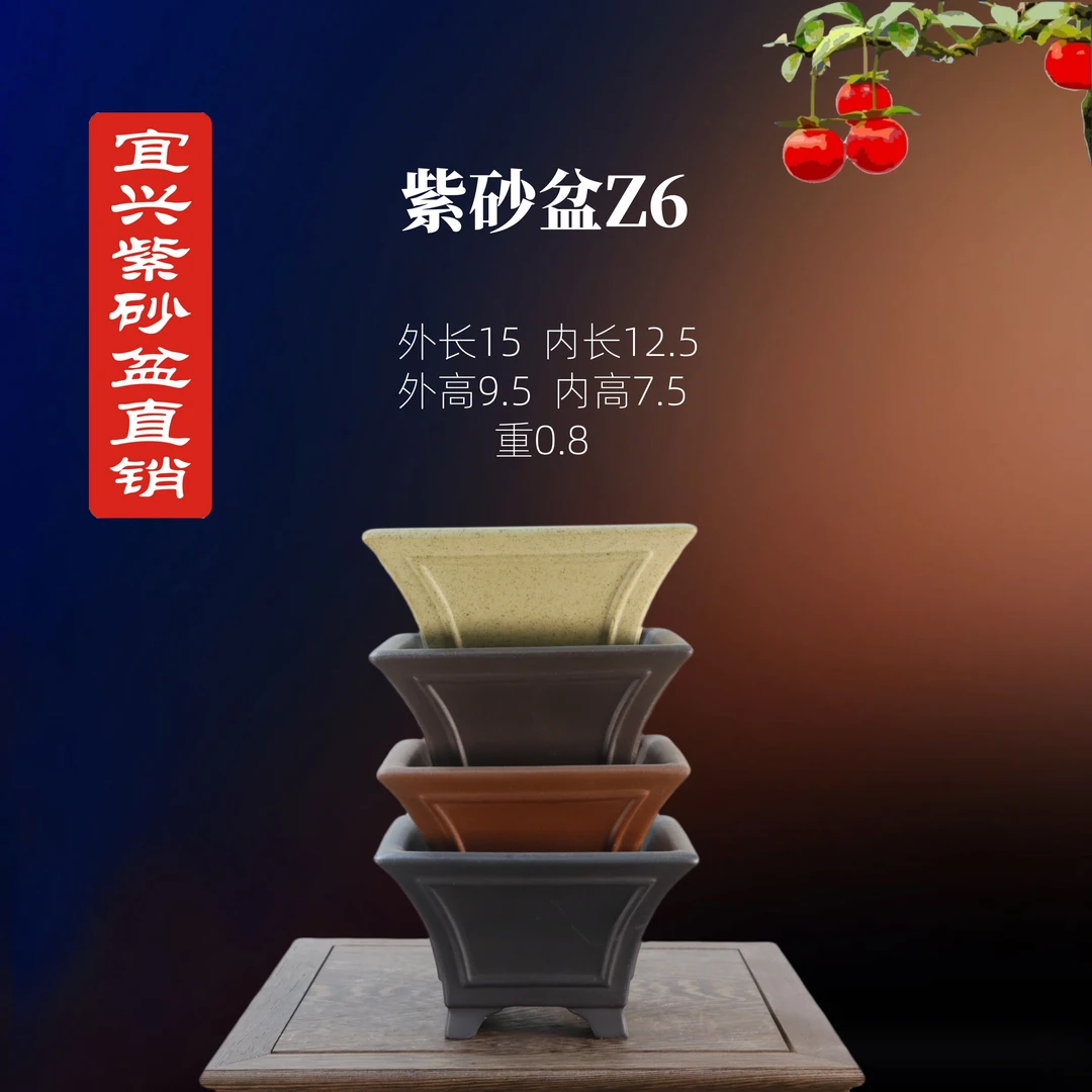 宜兴紫砂盆金弹子绿植盆景