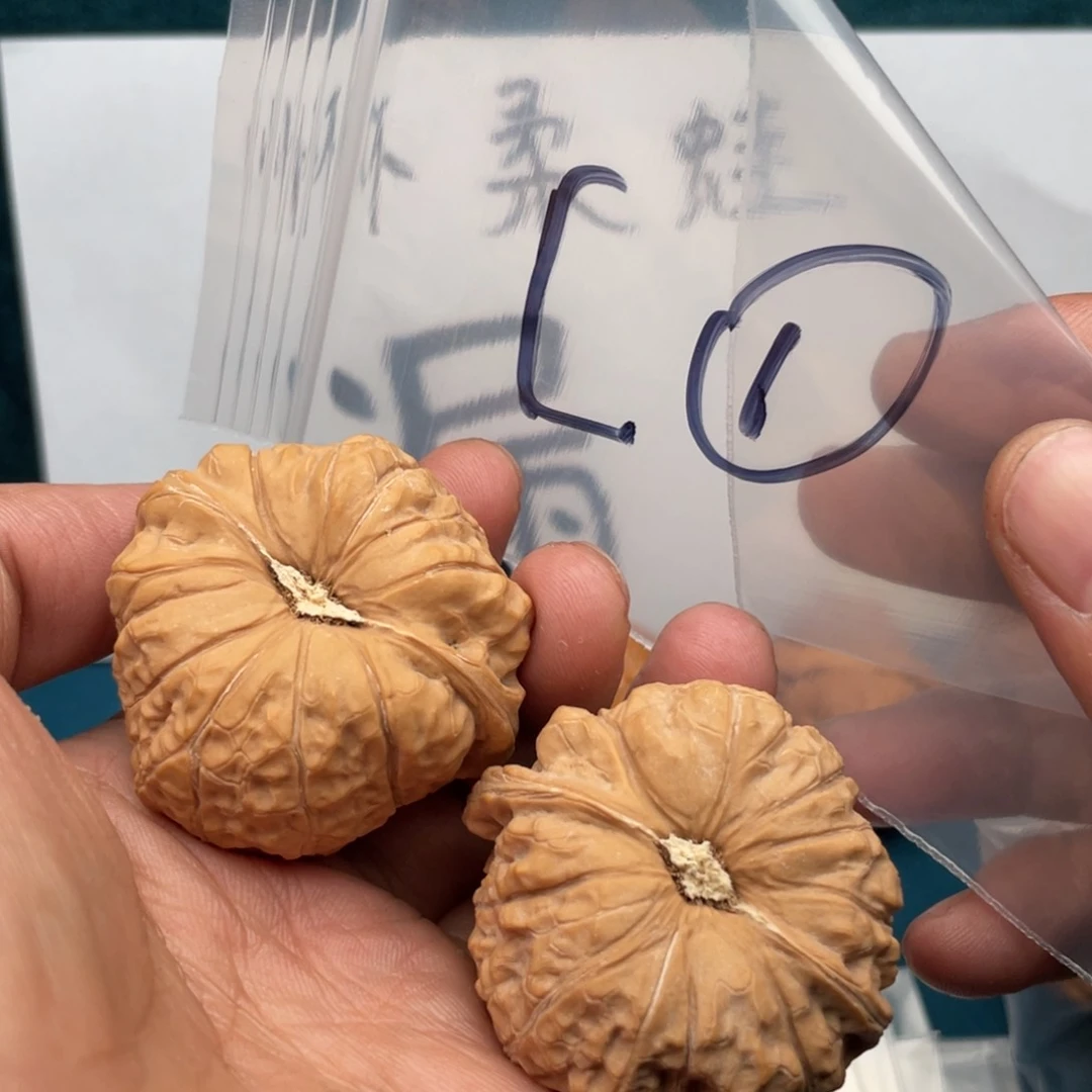 橄榄核手串/手链W836468468368683386