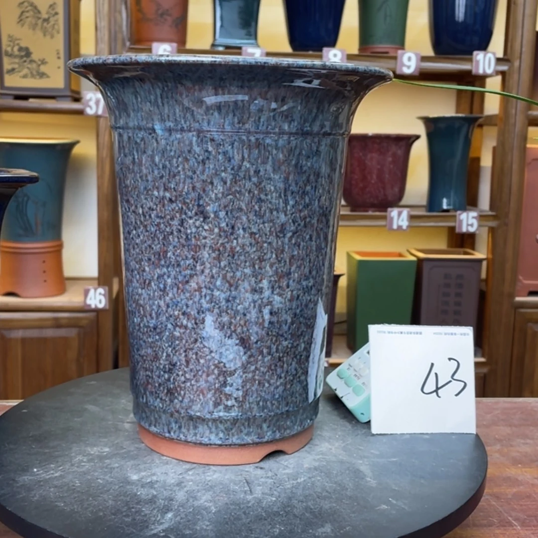 【闪购商品】紫砂花盆未****?兰花12588555858805566
