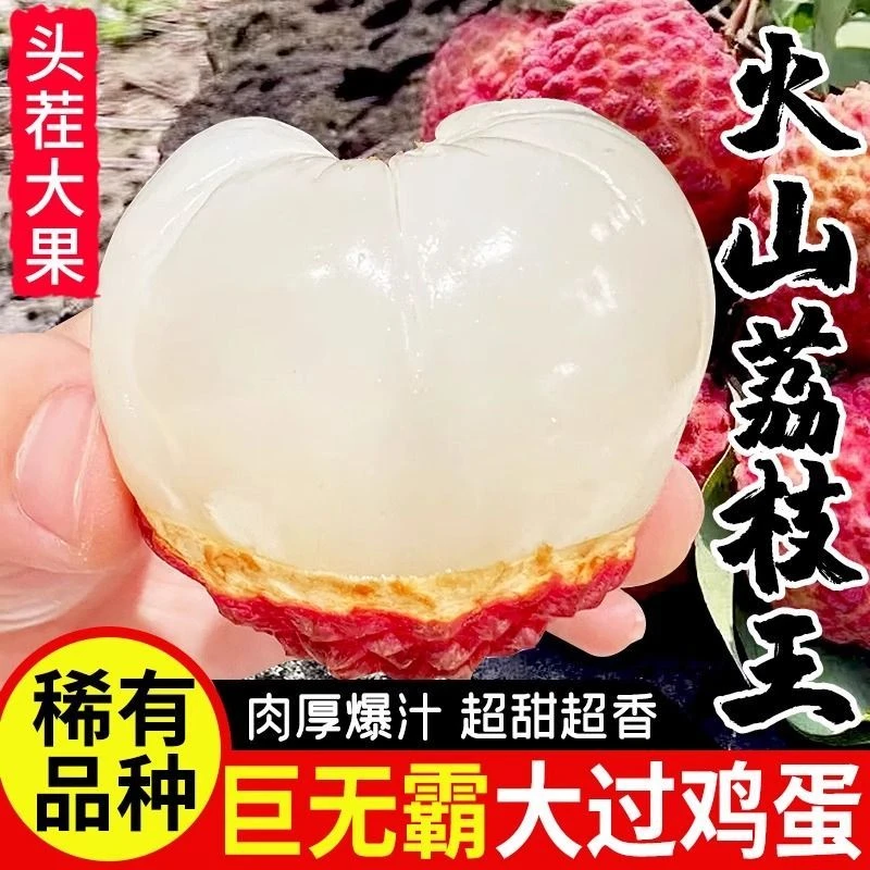 【海南火山岩荔枝王】臻享3斤装-当季超大个新鲜永兴荔枝高端水果