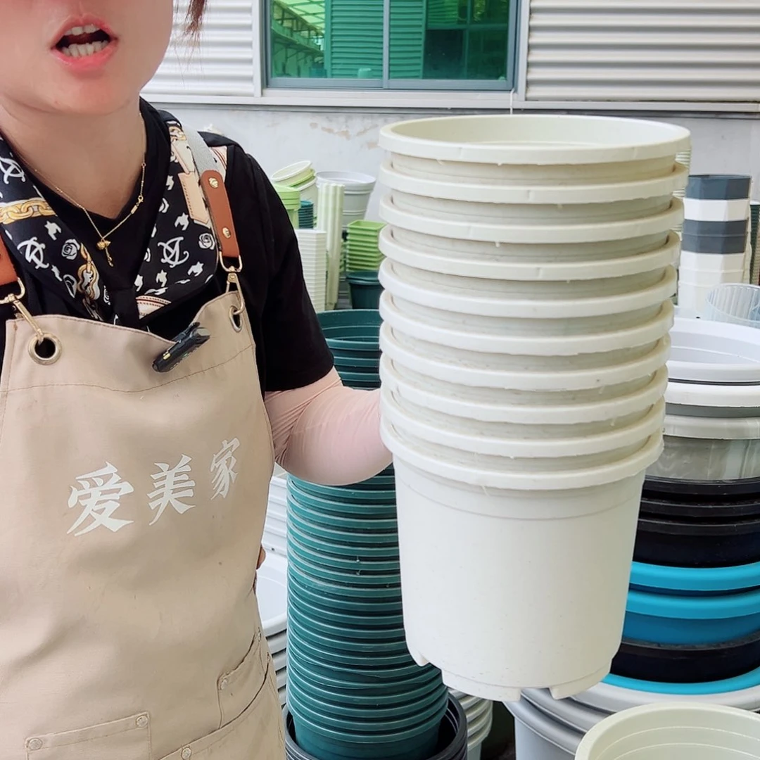 瑕疵1.5加仑米白色12个无托