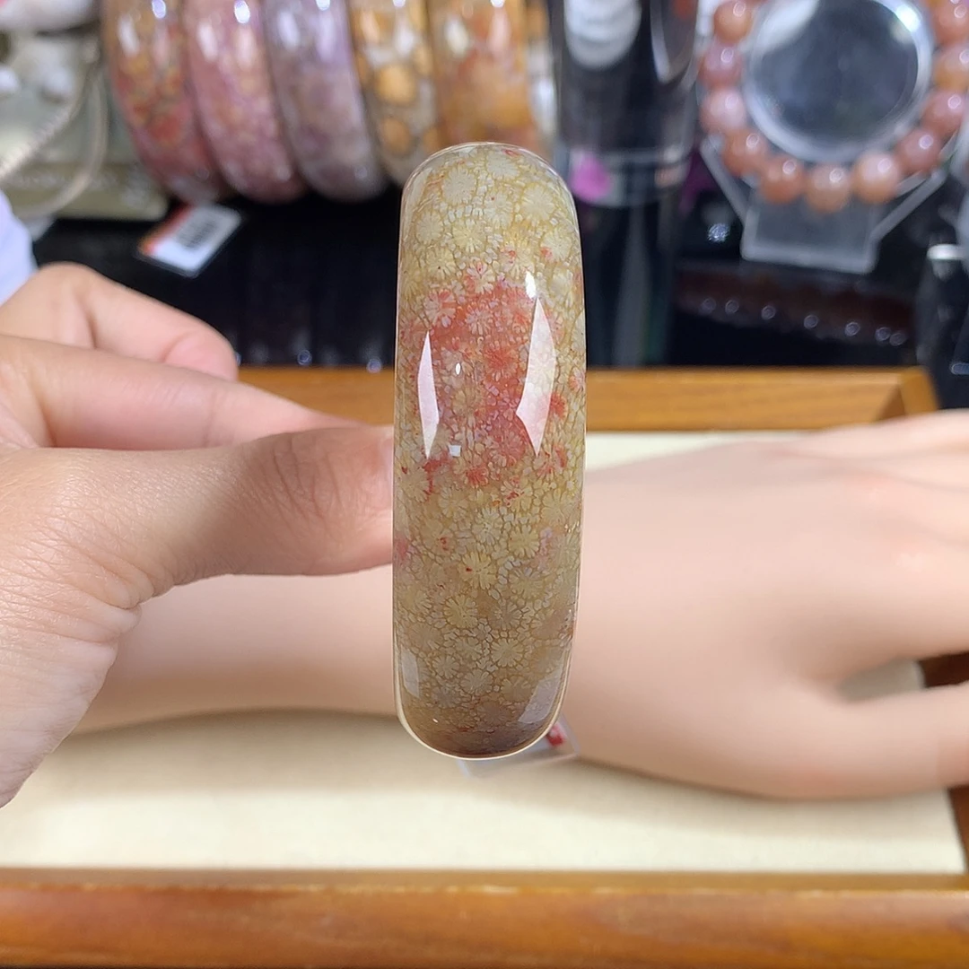 吊坠(赠链)未镶嵌硅化珊瑚（珊瑚玉）45号56圈口
