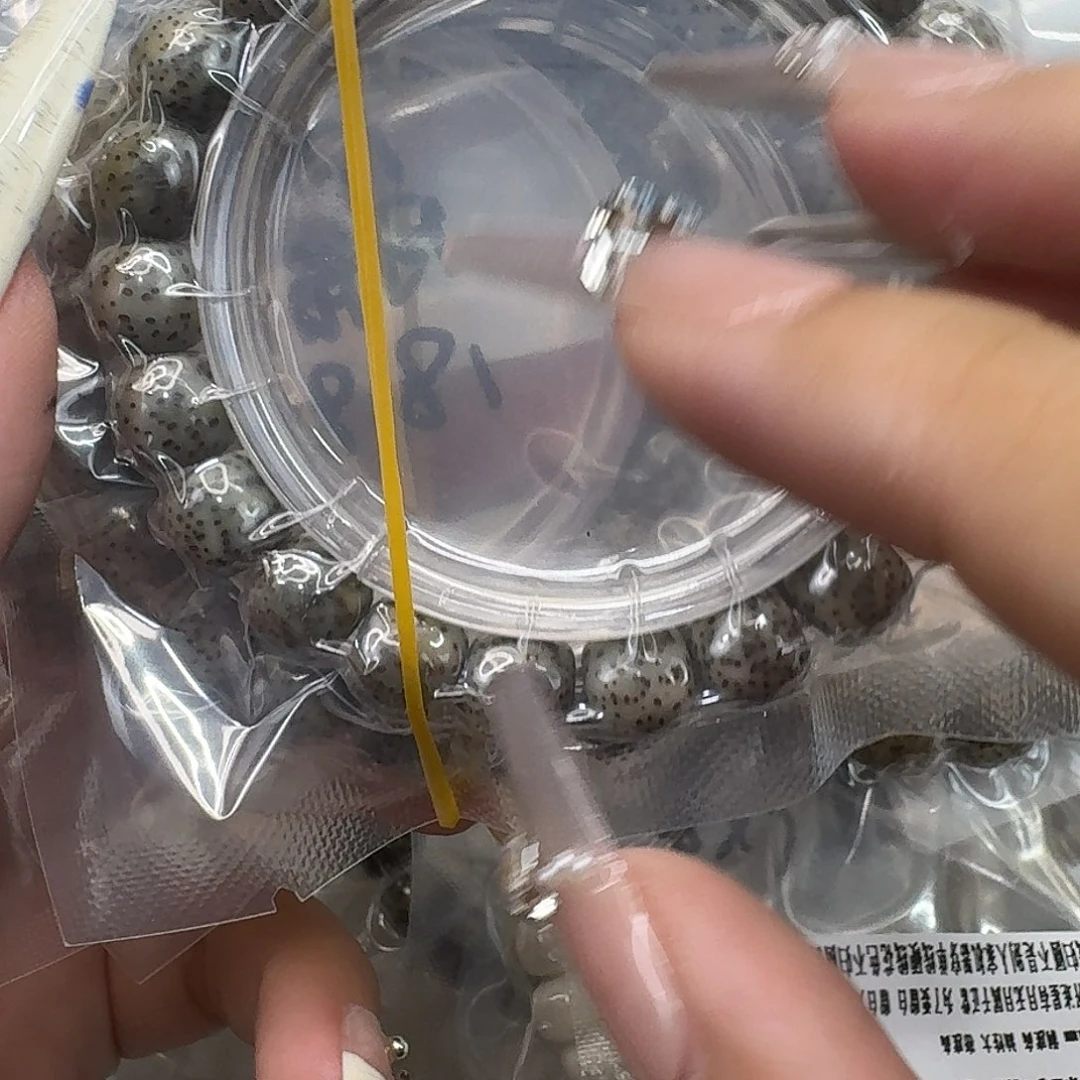 手串星月菩提53灭火月留白10 9