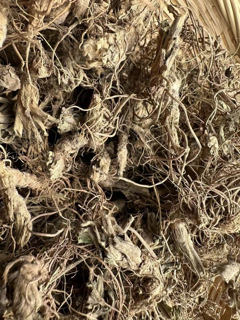 正宗农村土特产老地胆头草鞋根地胆草干货无硫熏煲汤龙须草靓料