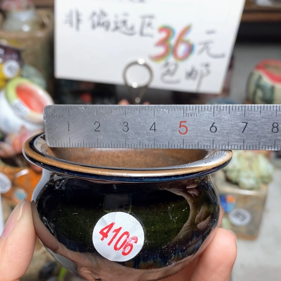 花盆拍5个送一个小礼物