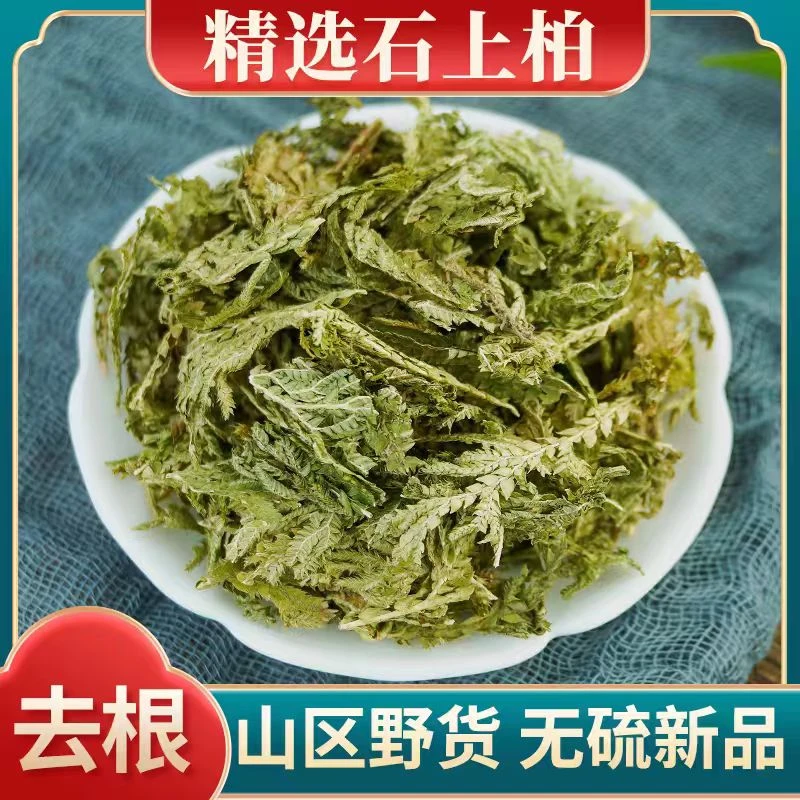 野生石上柏100g-500g克石上柏石柏新鲜干货草柏叶菜精选无硫