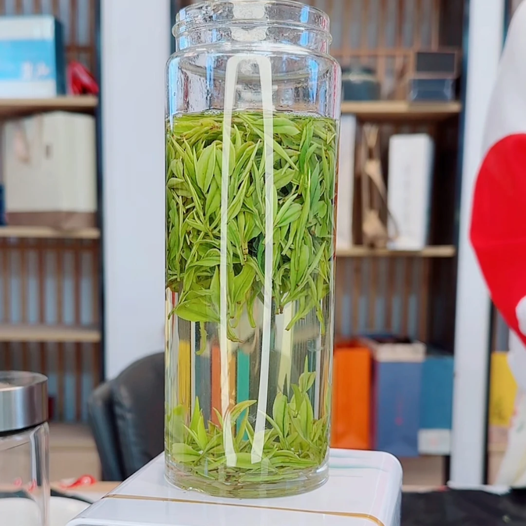 【高山明前口粮9】2025新茶枫璟白茶高山原产地安吉白茶