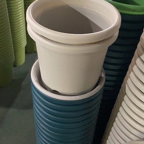 树脂微瑕3号10个带托灰白