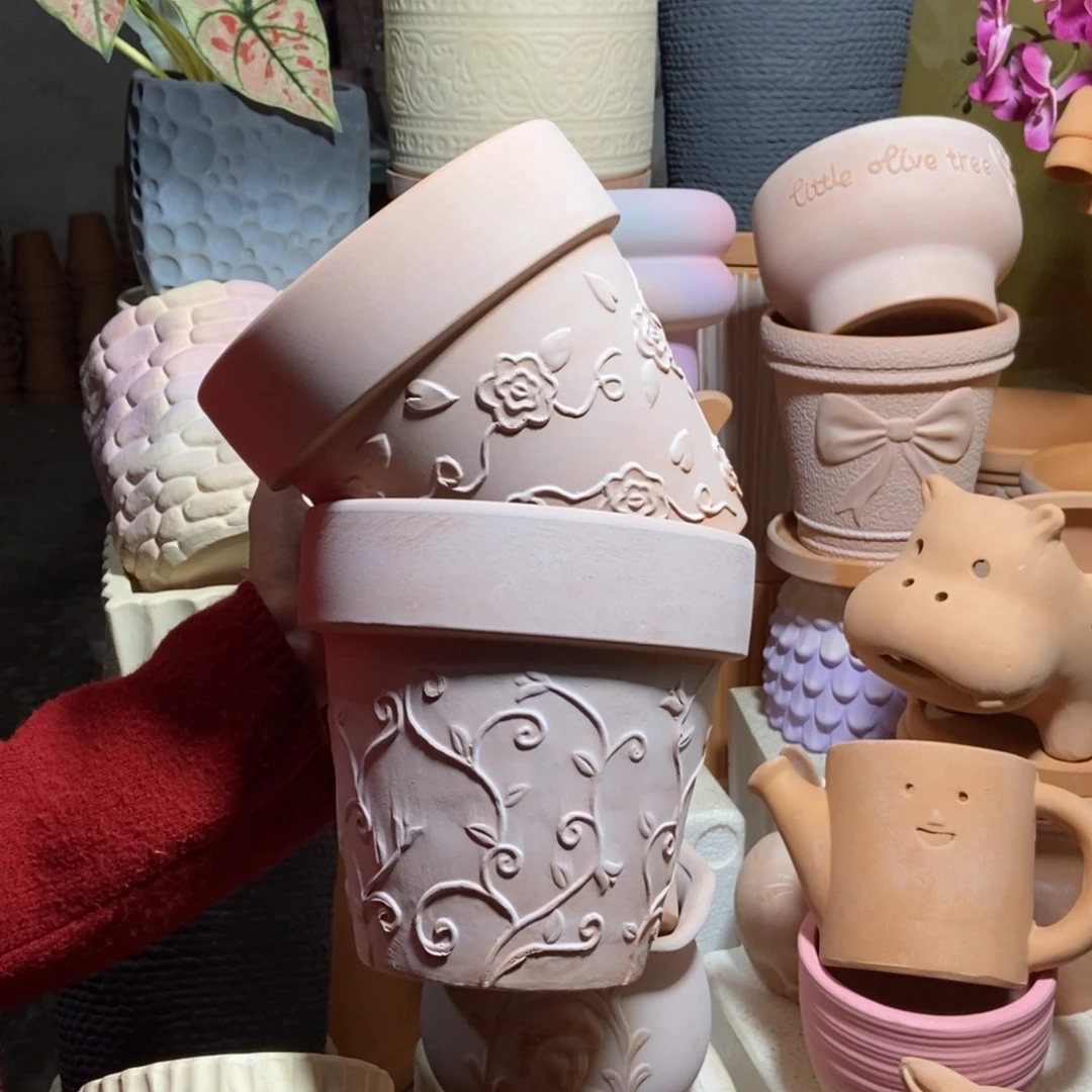 17×16雾化国际玫瑰+钩藤2个