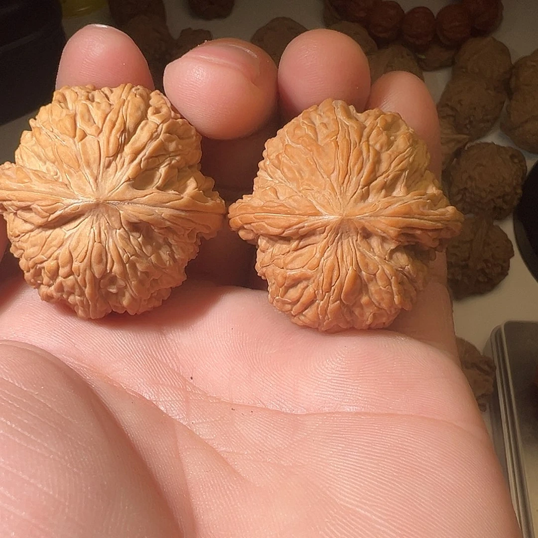 温***.把件文玩核桃文玩