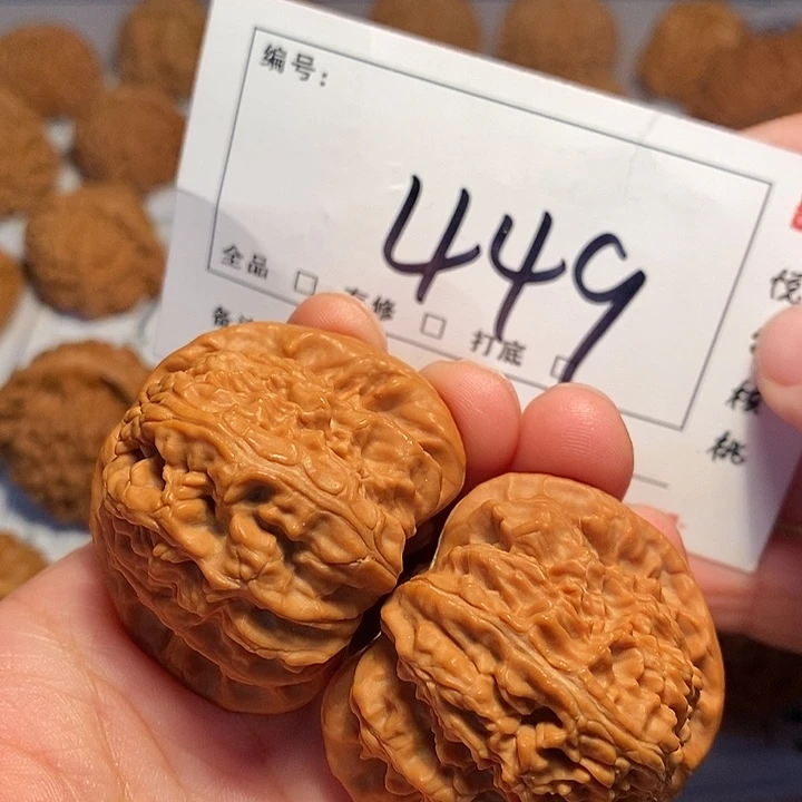 大叶紫檀（黑酸枝木类）白狮43尺449号